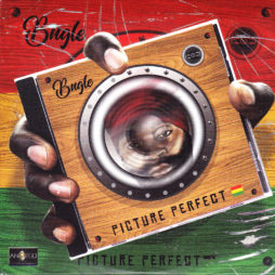 PICTURE PERFECT....BUGLE