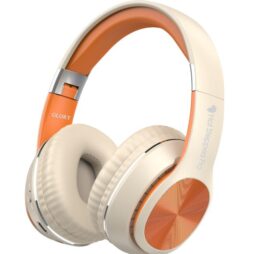 PHOTO-2026-01-04-18-20-04 4